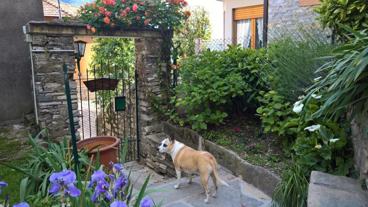 B&B "A Casa Di Camilla" Carate Urio Eksteriør bilde